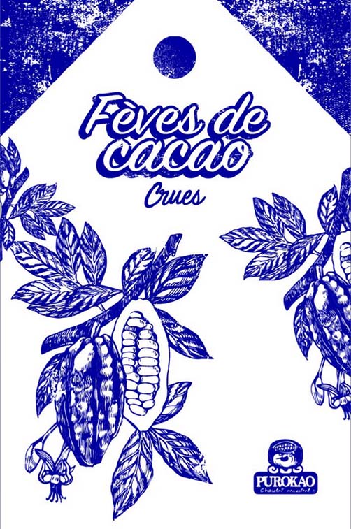 fèves de cacao crues 1